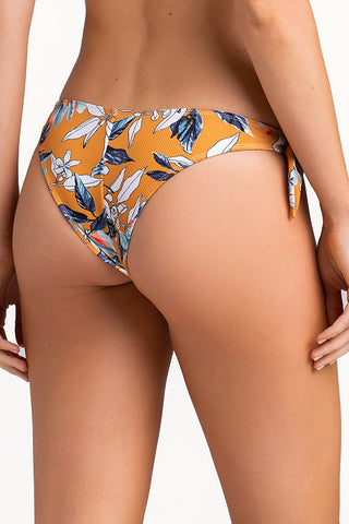 Bikini bottom cachetero
