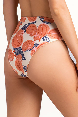 Bikini bottom culotte