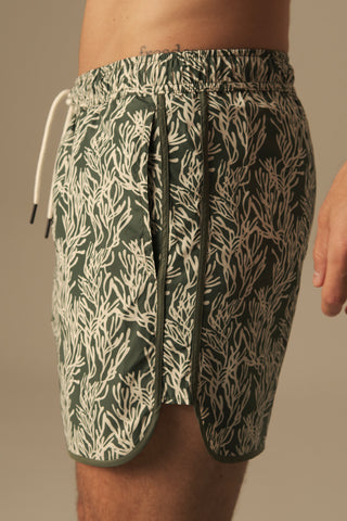 Pantaloneta bahía - Entregas a partir de agosto 29